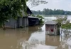 পাহাড়ি ঢলে আখাউড়ায় তলিয়ে গেছে ভারতীয় সীমান্তবর্তী এলাকা