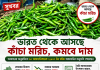 ভারত থেকে আসছে কাঁচা মরিচ, কমতে পারে বাজারদর