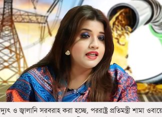 জ্বালানি সংকট মোকাবিলায় বিকল্প উৎস খুঁজছে সরকার: পররাষ্ট্র প্রতিমন্ত্রী